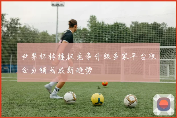 世界杯转播权竞争升级多家平台联合分销或成新趋势