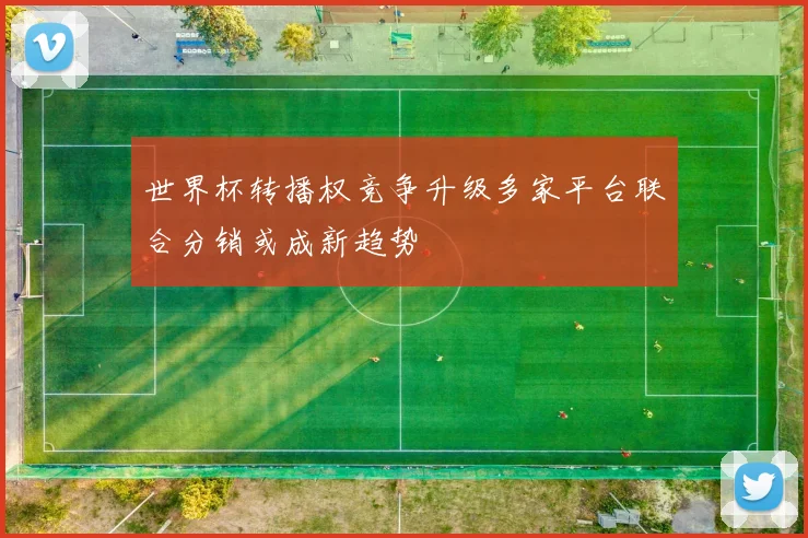 世界杯转播权竞争升级多家平台联合分销或成新趋势