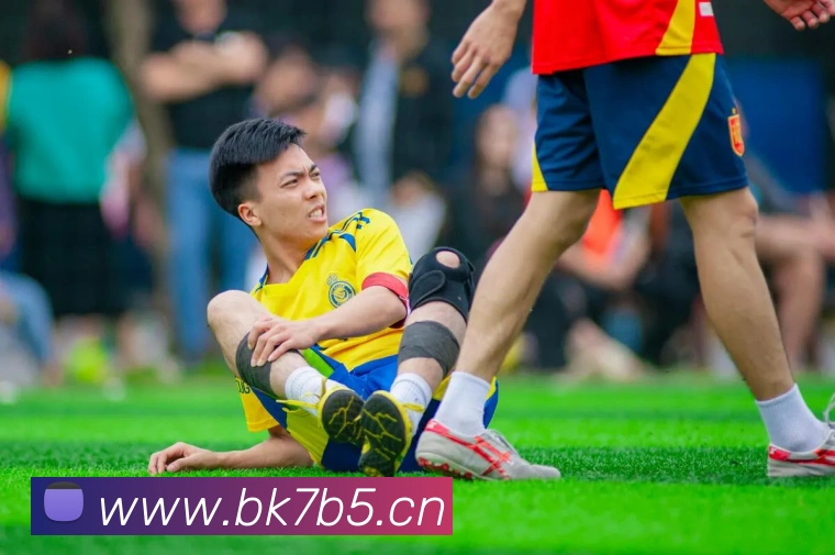 乐球直播免费观看高清版平台生态图